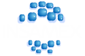 LOGO INSAMEX BCO 2023